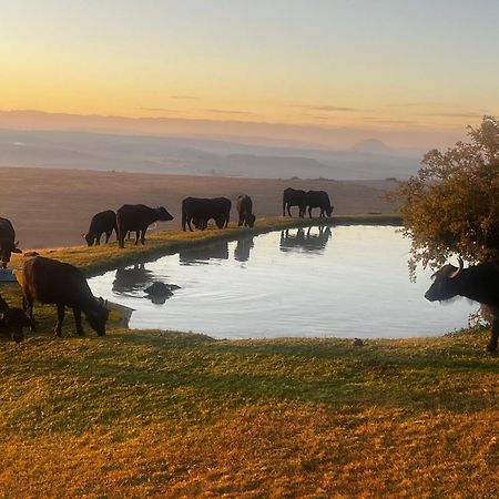 Uitzicht Private Nature Reserve And Lodge Fouriesburg Luaran gambar