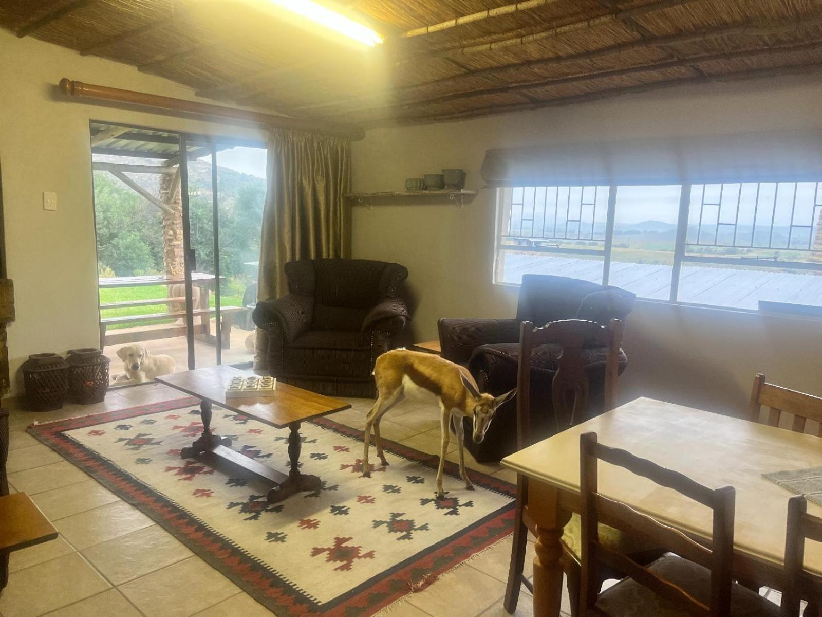 Uitzicht Private Nature Reserve And Lodge Fouriesburg Luaran gambar